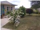 Blackbutt QLD 4306