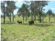 Toogoolawah QLD 4313