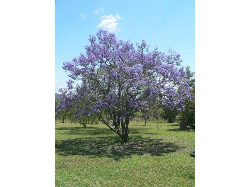 Toogoolawah QLD 4313