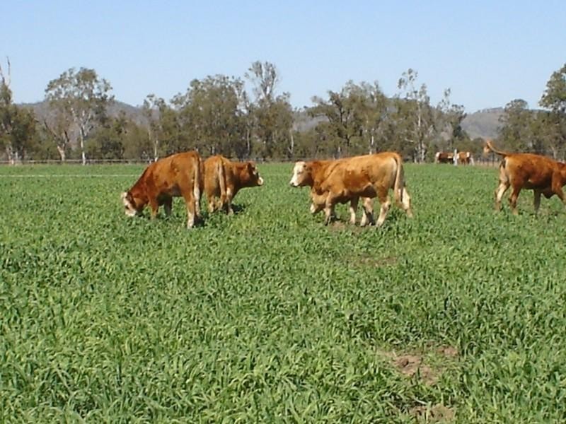 Toogoolawah QLD 4313