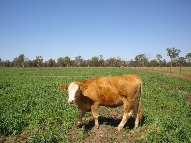 Toogoolawah QLD 4313