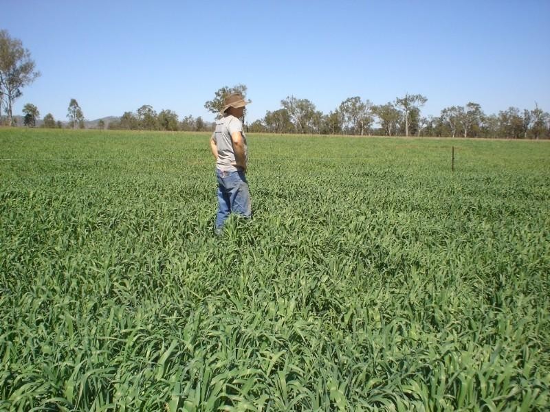 Toogoolawah QLD 4313