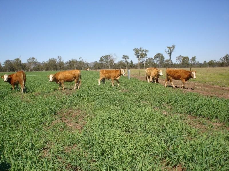 Toogoolawah QLD 4313