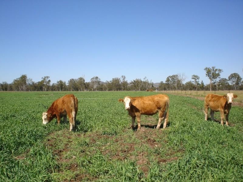 Toogoolawah QLD 4313