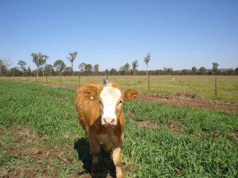 Toogoolawah QLD 4313