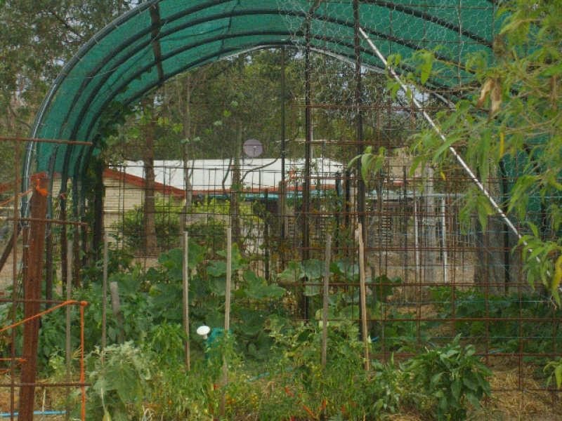 99 Greenhills Drive, Blackbutt QLD 4306