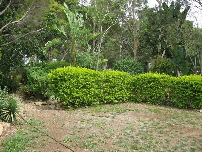 Blackbutt QLD 4306