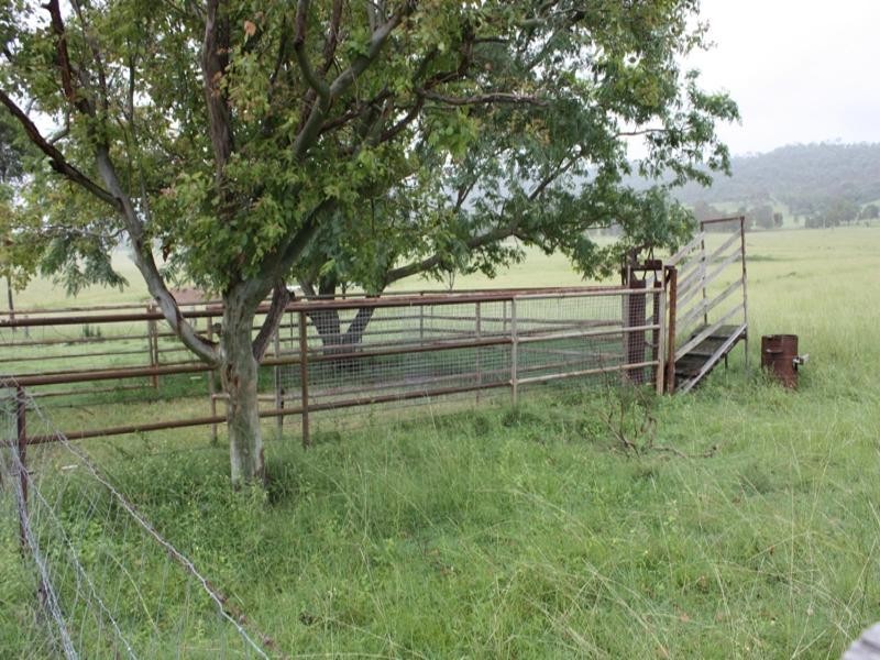 54 Greives Road, Colinton QLD 4306