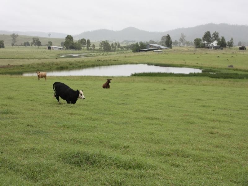 54 Greives Road, Colinton QLD 4306