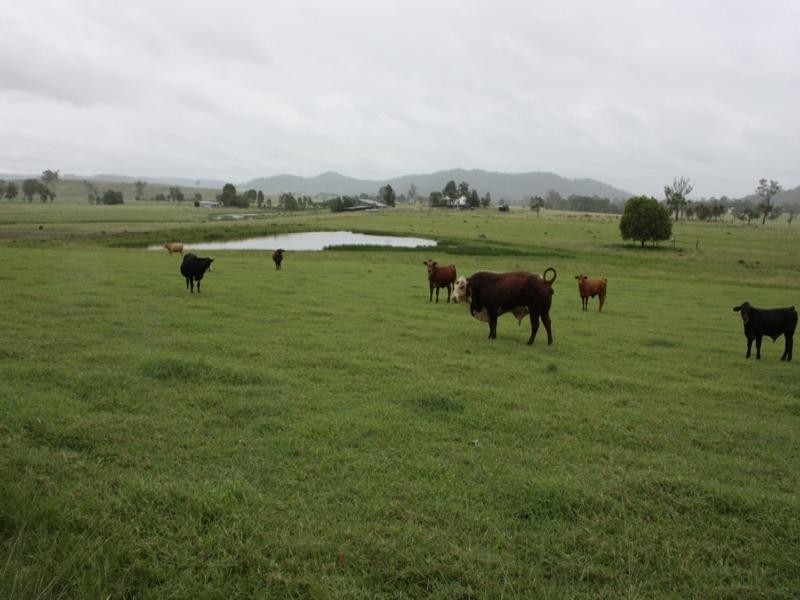 54 Greives Road, Colinton QLD 4306