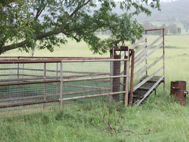 54 Greives Road, Colinton QLD 4306