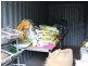 Benarkin QLD 4306