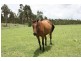 0 Ulampa Creek Road, Blackbutt QLD 4306