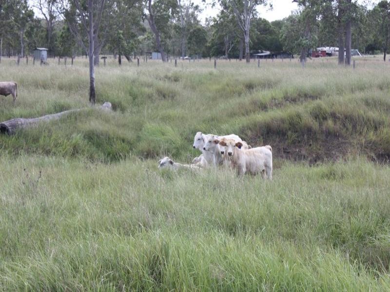 Toogoolawah QLD 4313