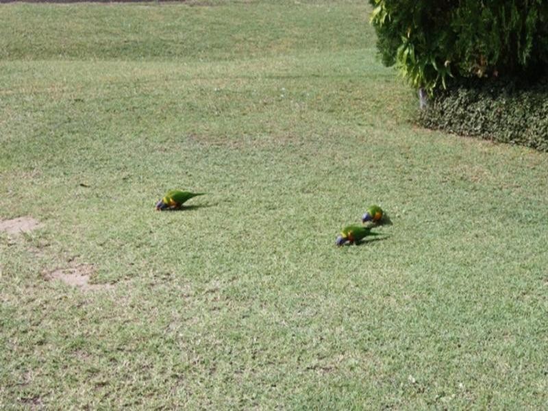 Toogoolawah QLD 4313