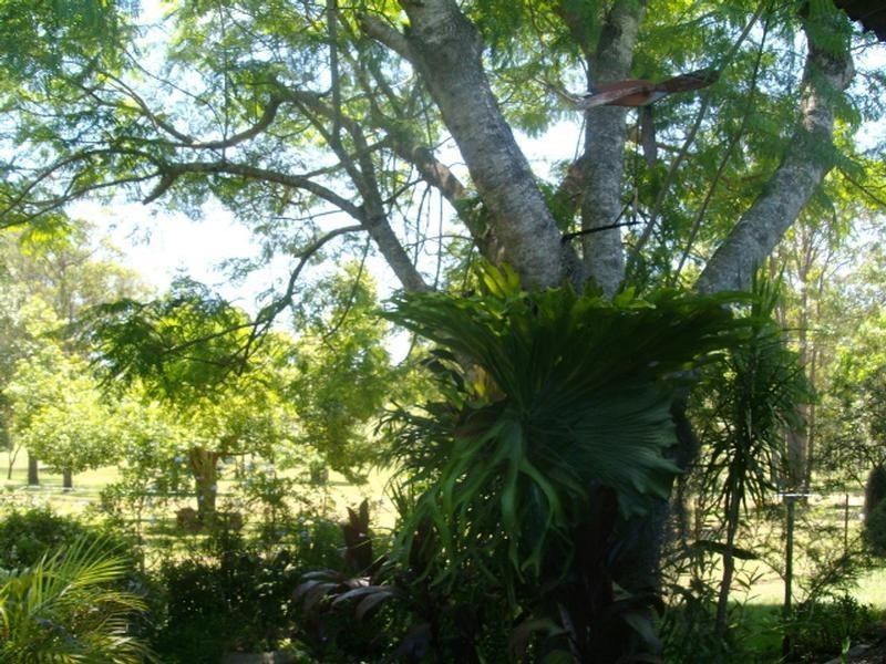 333 Mt Binga Road, Blackbutt QLD 4306