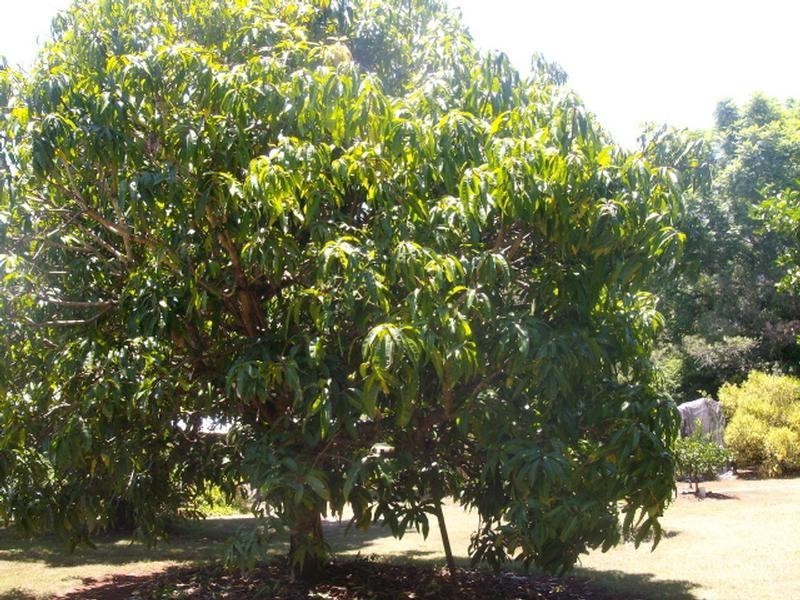 333 Mt Binga Road, Blackbutt QLD 4306