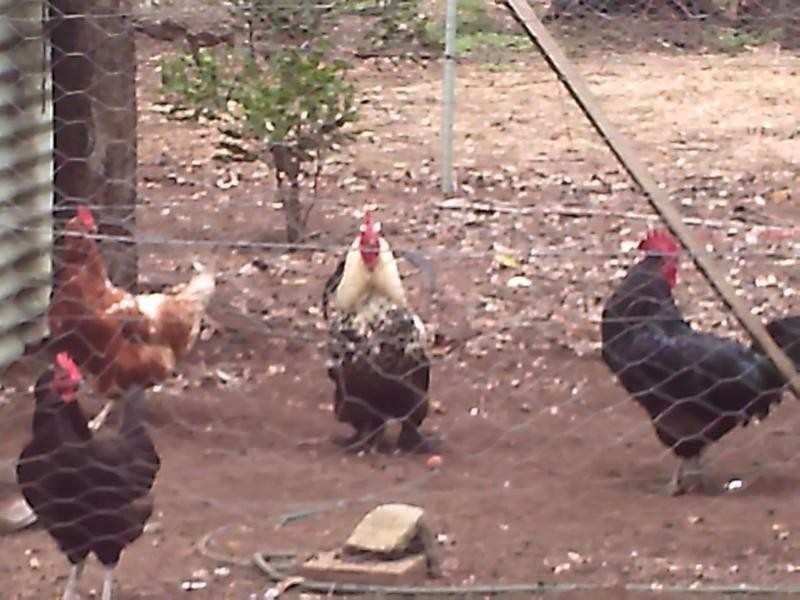 792 Old Esk Road, Blackbutt QLD 4306