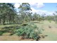 4 SMITH Street, Yarraman QLD 4614