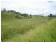 Harlin QLD 4306