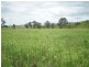 Harlin QLD 4306
