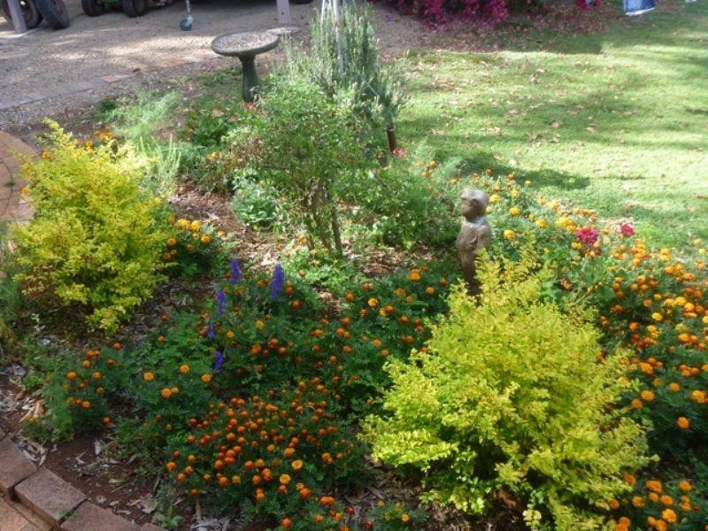 113 COULSON Street, Blackbutt QLD 4306