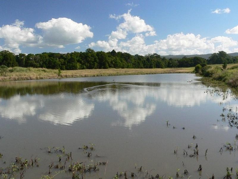 28 Burtons Road, Yandina QLD 4561