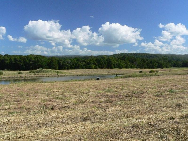 28 Burtons Road, Yandina QLD 4561