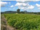 28 Burtons Road, Yandina QLD 4561