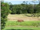 28 Burtons Road, Yandina QLD 4561