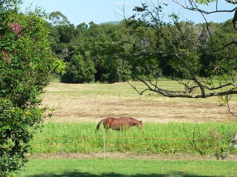 28 Burtons Road, Yandina QLD 4561