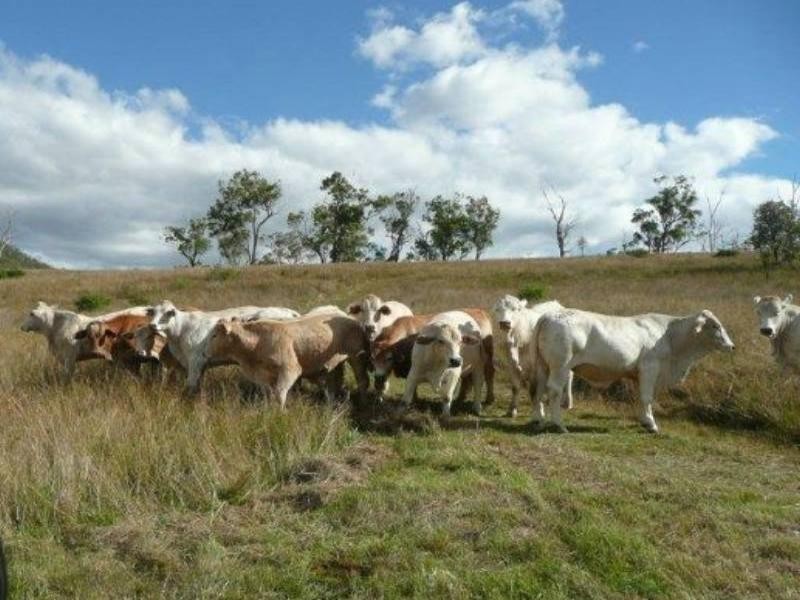 LOT 1 D’AGUILAR Highway, Moore QLD 4306