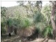 Blackbutt QLD 4306