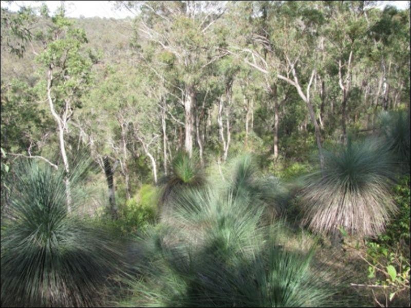 Blackbutt QLD 4306