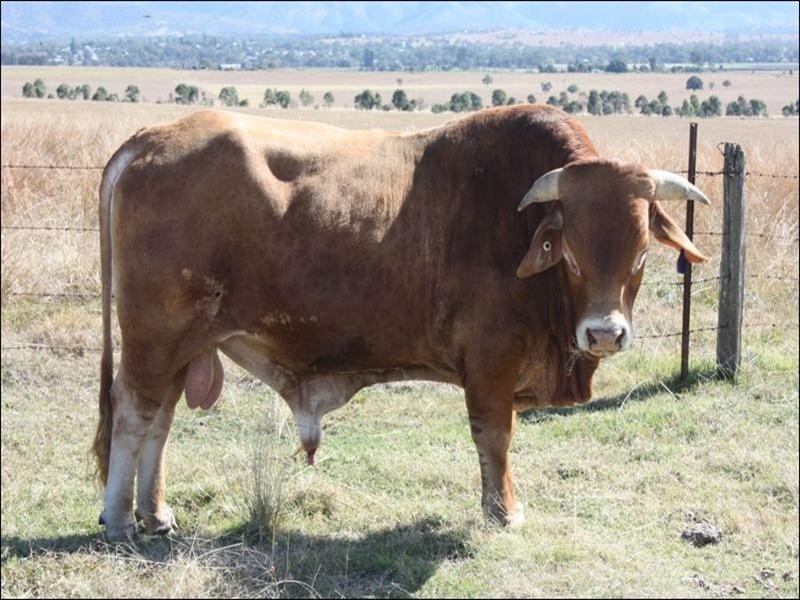 Toogoolawah QLD 4313