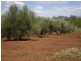 Mount Binga QLD 4306