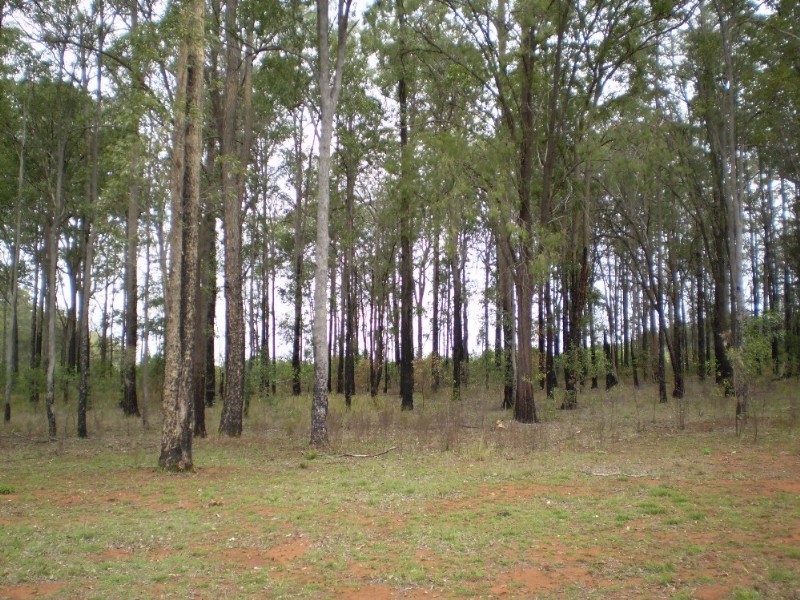 Blackbutt QLD 4306