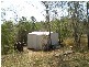 Blackbutt QLD 4306