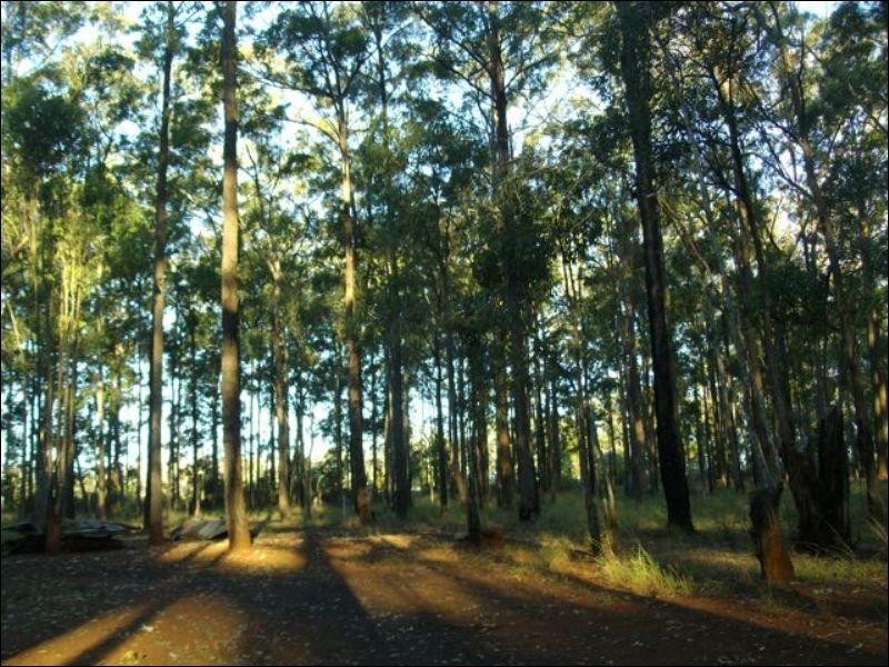 30 Brett Road, Blackbutt QLD 4306