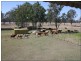 Toogoolawah QLD 4313
