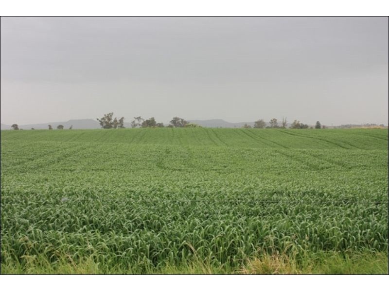 Cressbrook QLD 4313