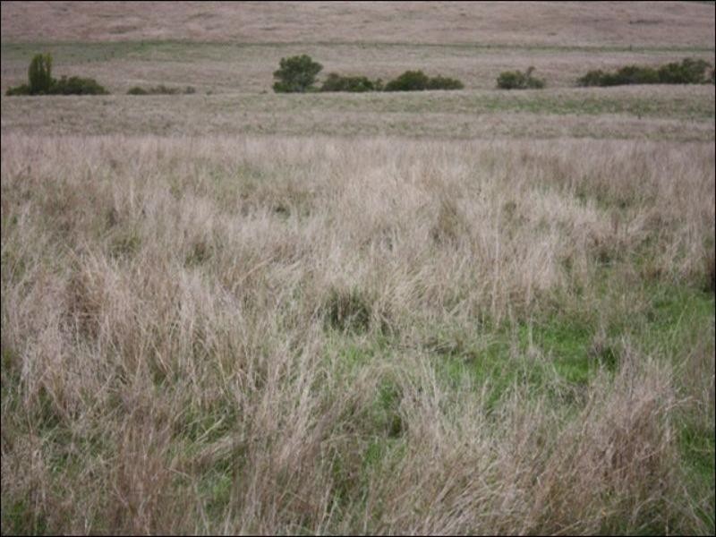 4 Monks Road, Toogoolawah QLD 4313