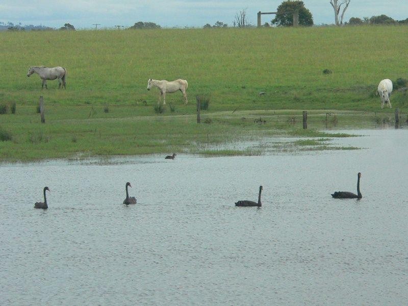 Toogoolawah QLD 4313