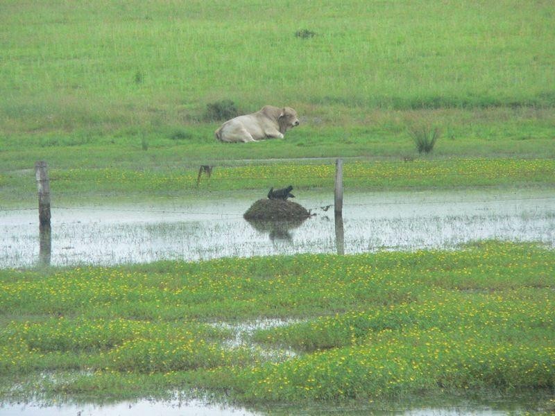 Toogoolawah QLD 4313