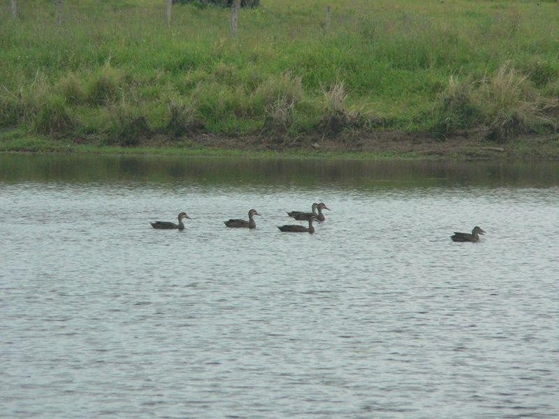 Toogoolawah QLD 4313