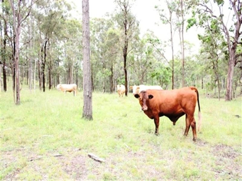 Wyalla QLD 4615