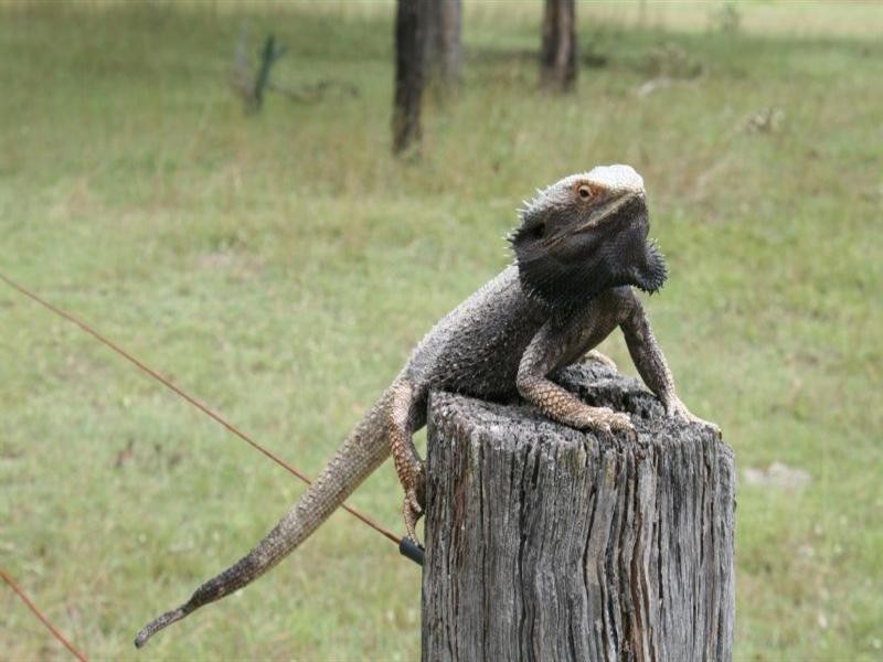 Toogoolawah QLD 4313