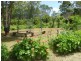 42 Hillary Road, Blackbutt QLD 4306
