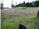 Moore QLD 4306