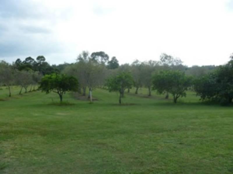 380 Hayne Kite Millar Road, Blackbutt QLD 4306